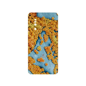 MAHOOT Atom Universe 7 Cover Sticker for VIVO X27