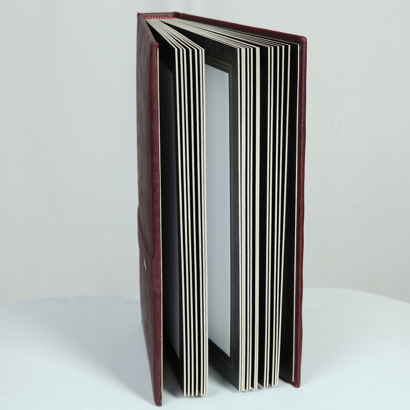 آلبوم عکس مدل A 20