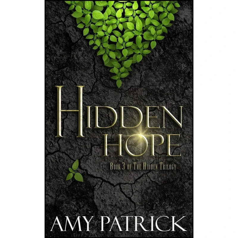 کتاب Hidden Hope اثر Amy Patrick انتشارات تازه ها