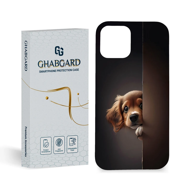 کاور قاب گارد مدل پسرانه مناسب برای گوشی موبایل اپل iPhone 12/12 Pro