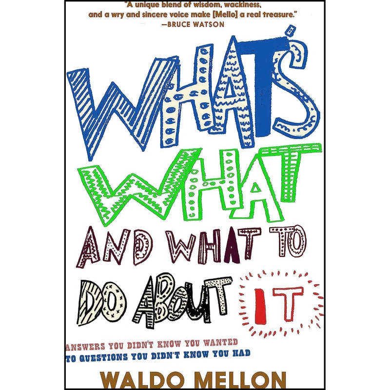 کتاب What's What and What to Do About It اثر Waldo Mellon انتشارات Seven Stories Press