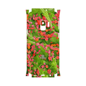 MAHOOT Atom Universe 3-FullSkin Cover Sticker for Samsung Galaxy S9