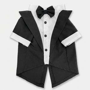لباس سگ و گربه مدل فراگ 6 سایز XXL