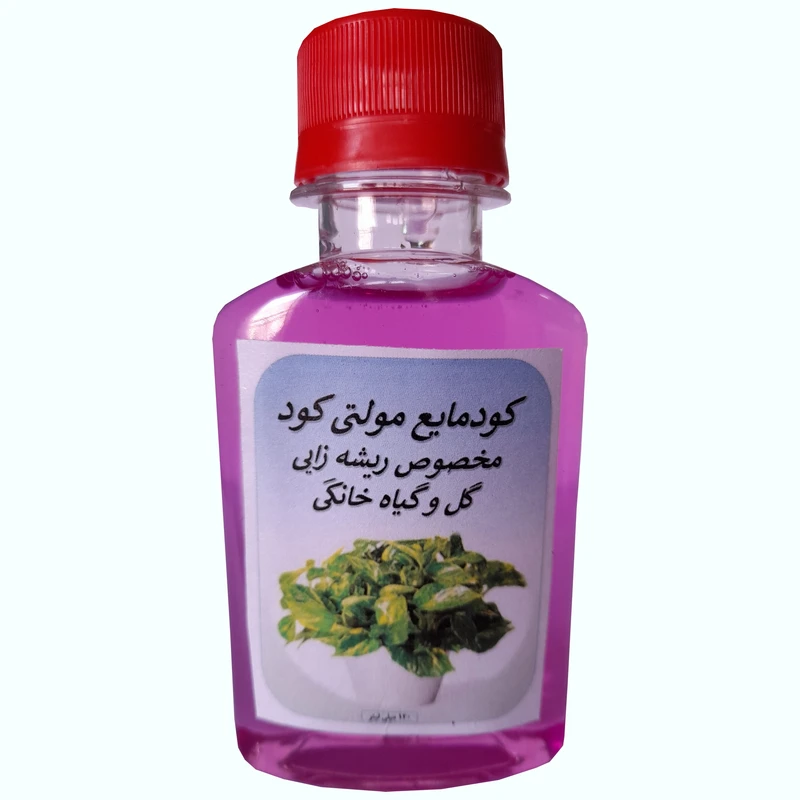 عکس شماره 2