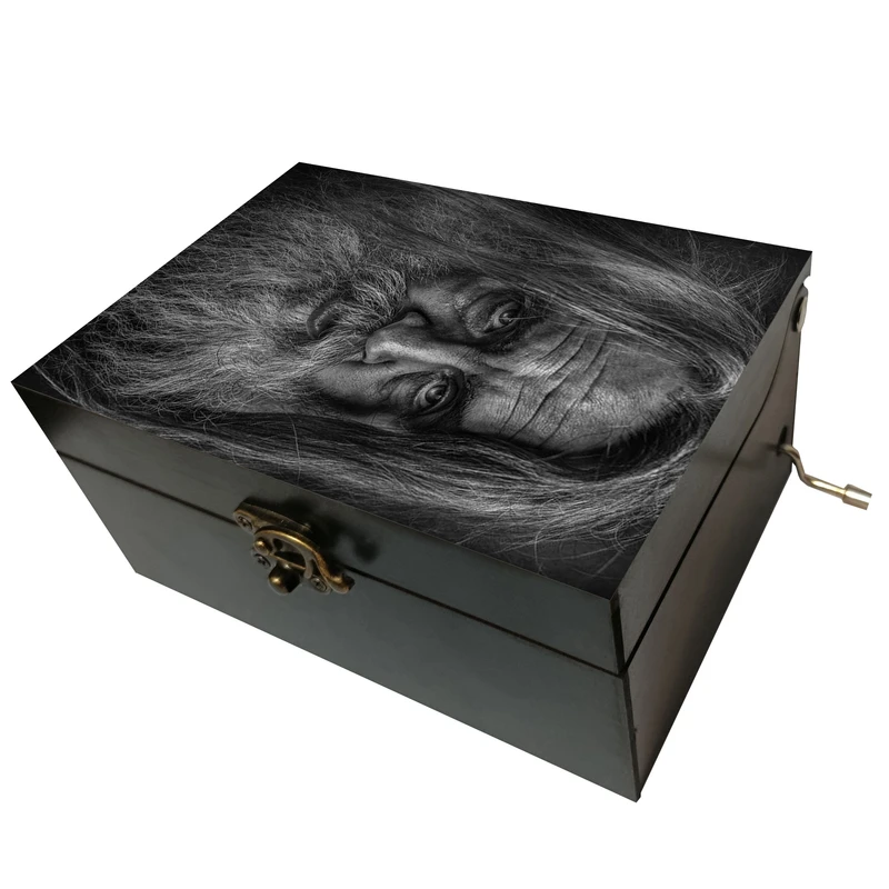 جعبه موزیکال مدل هندلی طرح پرتره پیرمرد کد T1047