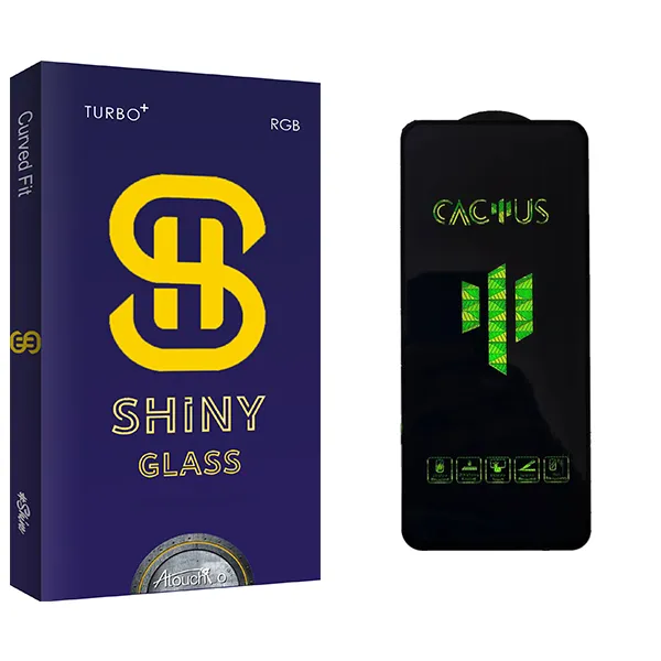 محافظ صفحه نمایش شیشه ای آتوچبو مدل Shiny Cactus مناسب برای گوشی موبایل شیائومی Poco X4 Pro