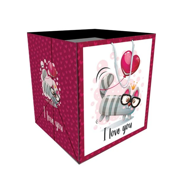 ساک هدیه مدل 10058 بسته 12 عددی