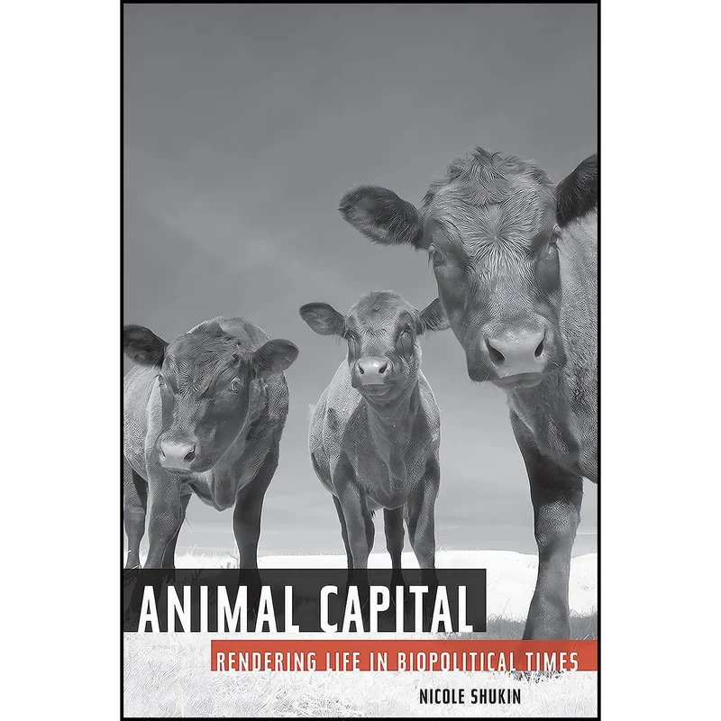 کتاب Animal Capital اثر Nicole Shukin انتشارات Univ Of Minnesota Press