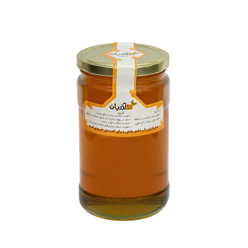 عسل طبیعی گون آذریان - 1000 گرم