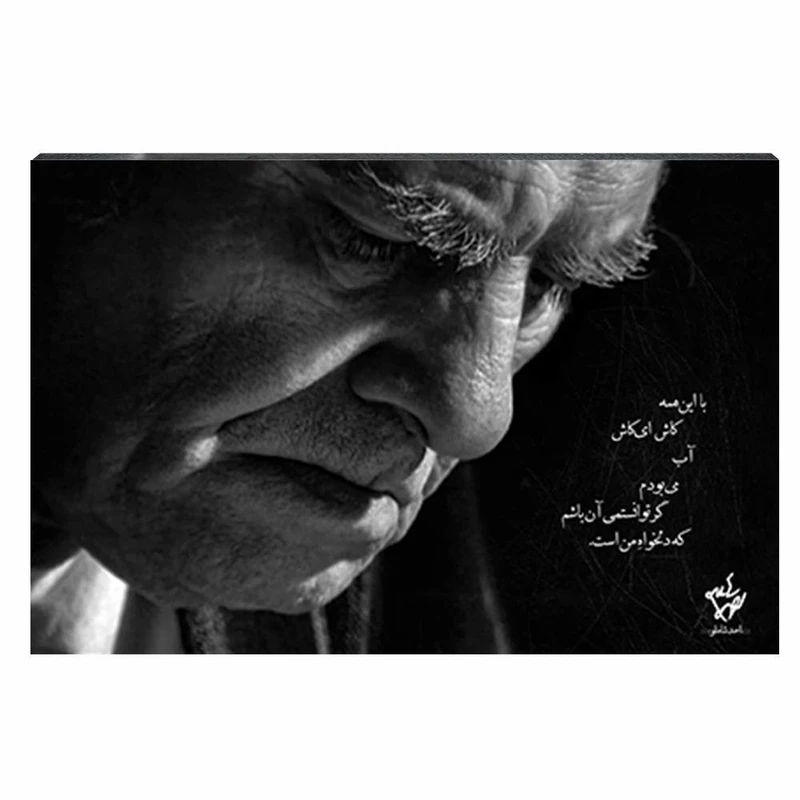 تابلو شاسی مدل احمد شاملو طرح کاش ای‌کاش آب می‌بودم کد 4G325
