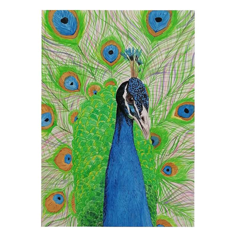 نقاشی ابرنگ مدل طاووس