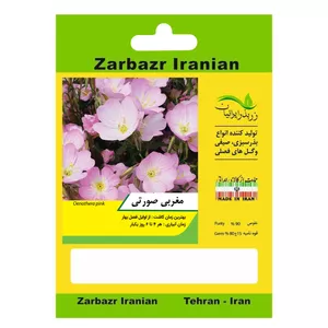 بذر گل مغربی صورتی زربذر ایرانیان کد ZBP-106
