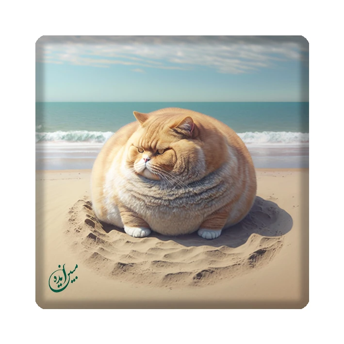 کاشی مبین ایده مدل فانتزی kh10 کد 1716