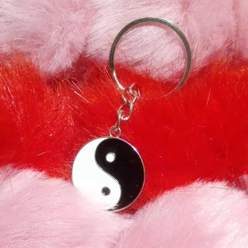 جاکلیدی مدل یین و یانگ