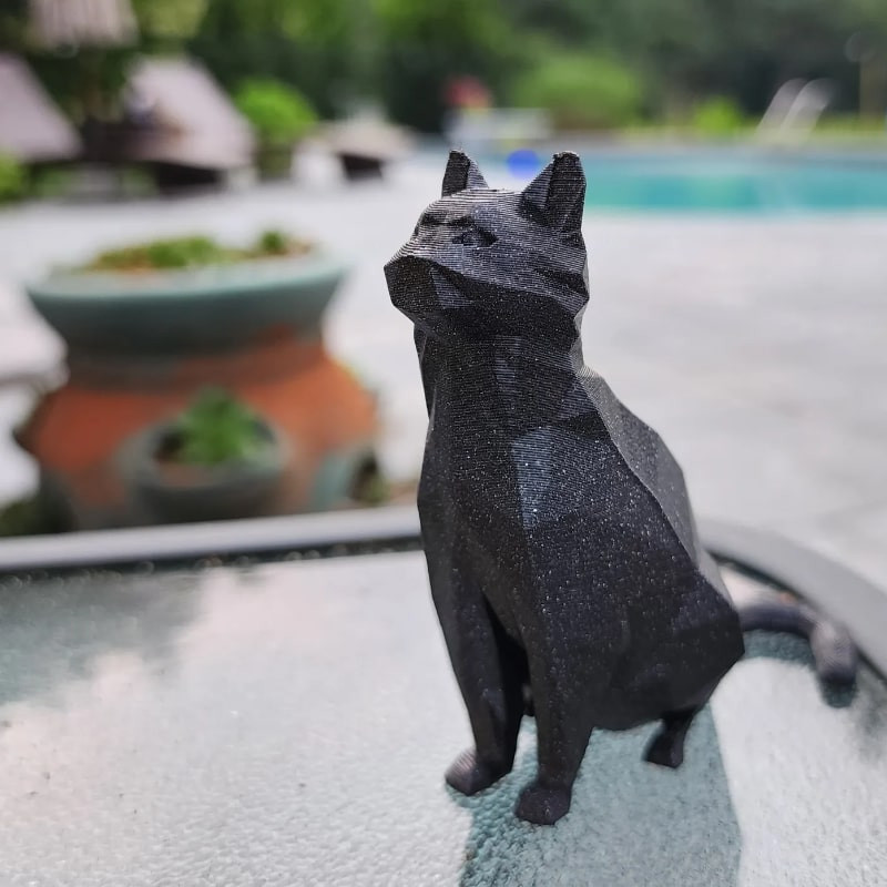 فیگور مدل گربه