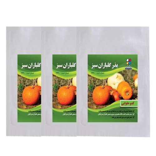 بذر کدو حلوایی شرکت گلباران سبز گیلان مدل KH3 بسته 3 عددی