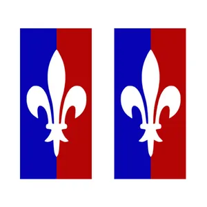 برچسب پلاک خودرو رایسان کد BP005 مجموعه 2عددی