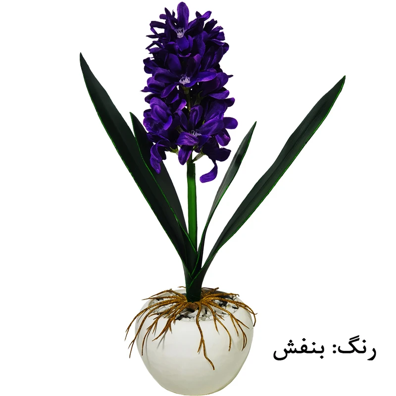 عکس شماره 4