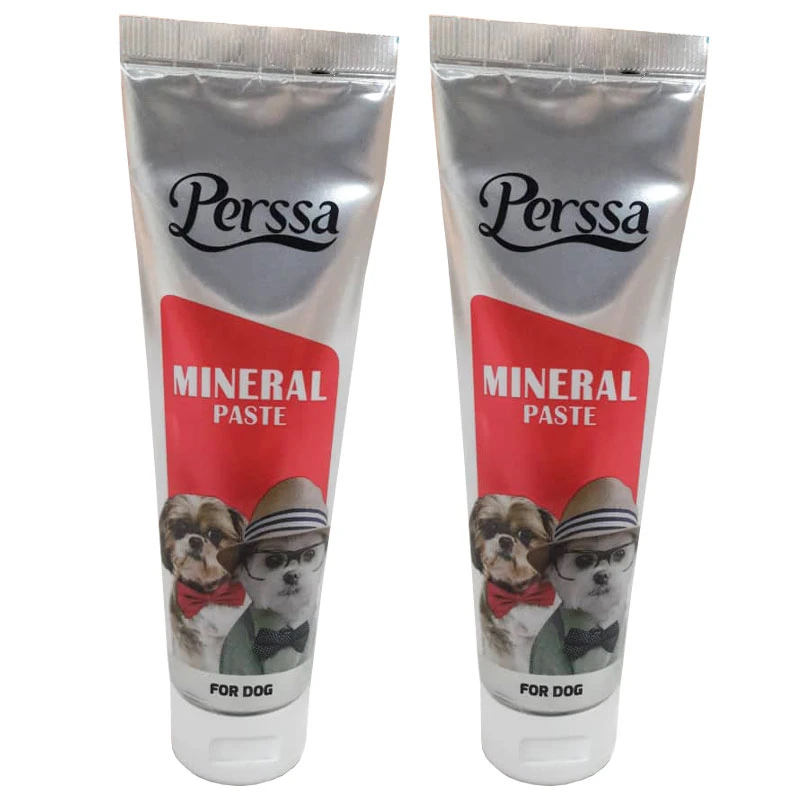 خمیر مینرال سگ پرسا مدل Mineral Paste وزن 100 گرم بسته 2 عددی