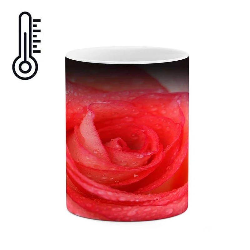 ماگ حرارتی کاکتی مدل گل رز کد mgh18050