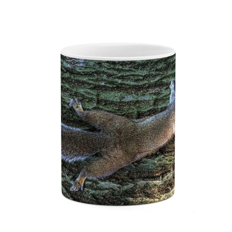 ماگ کاکتی مدل سنجاب کد mgh10286