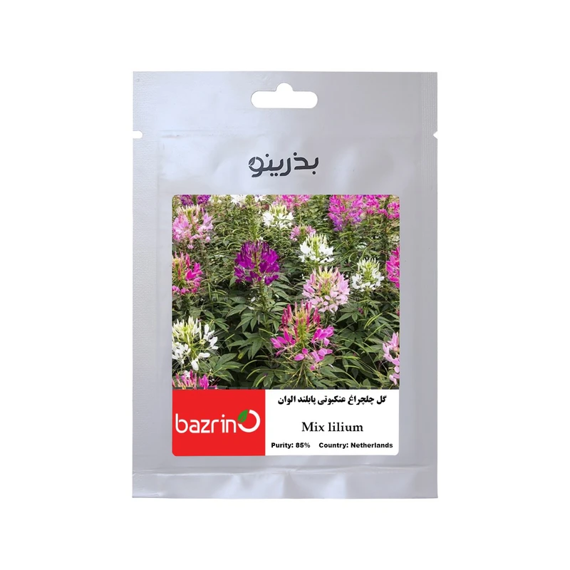 بذر گل چلچراغ قرمز بذرینو کد B-051