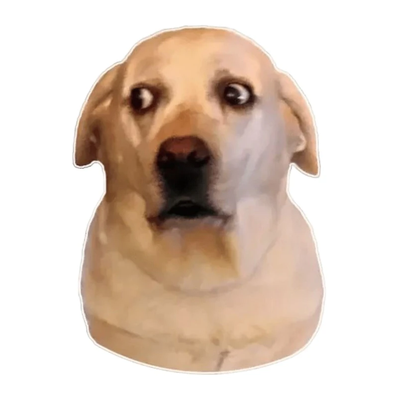 استیکر پارچه و لباس پاد آفرین مدل میم اینستاگرام کد 2612