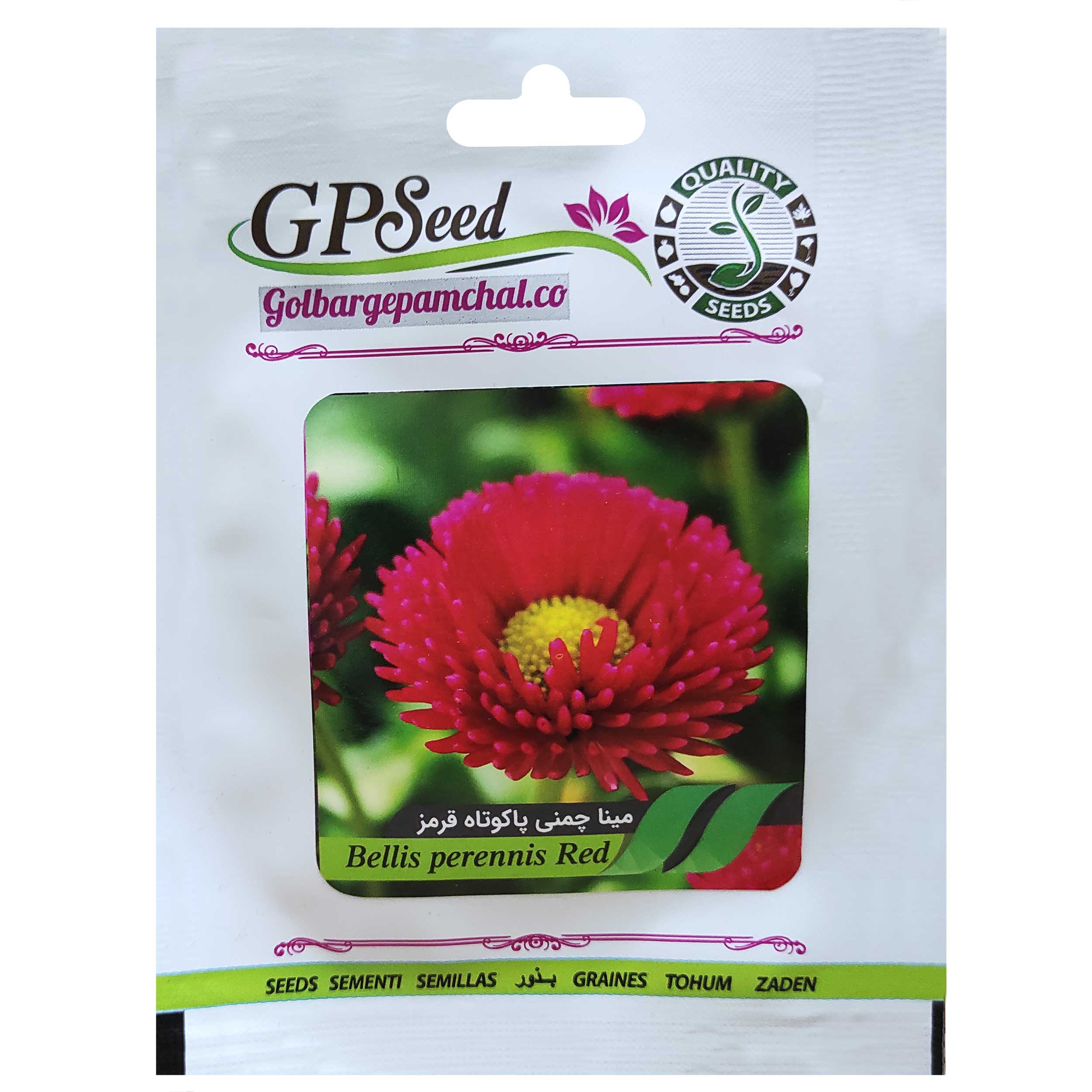 بذر گل مینا چمنی پاکوتاه قرمز گلبرگ پامچال کد GPF-273