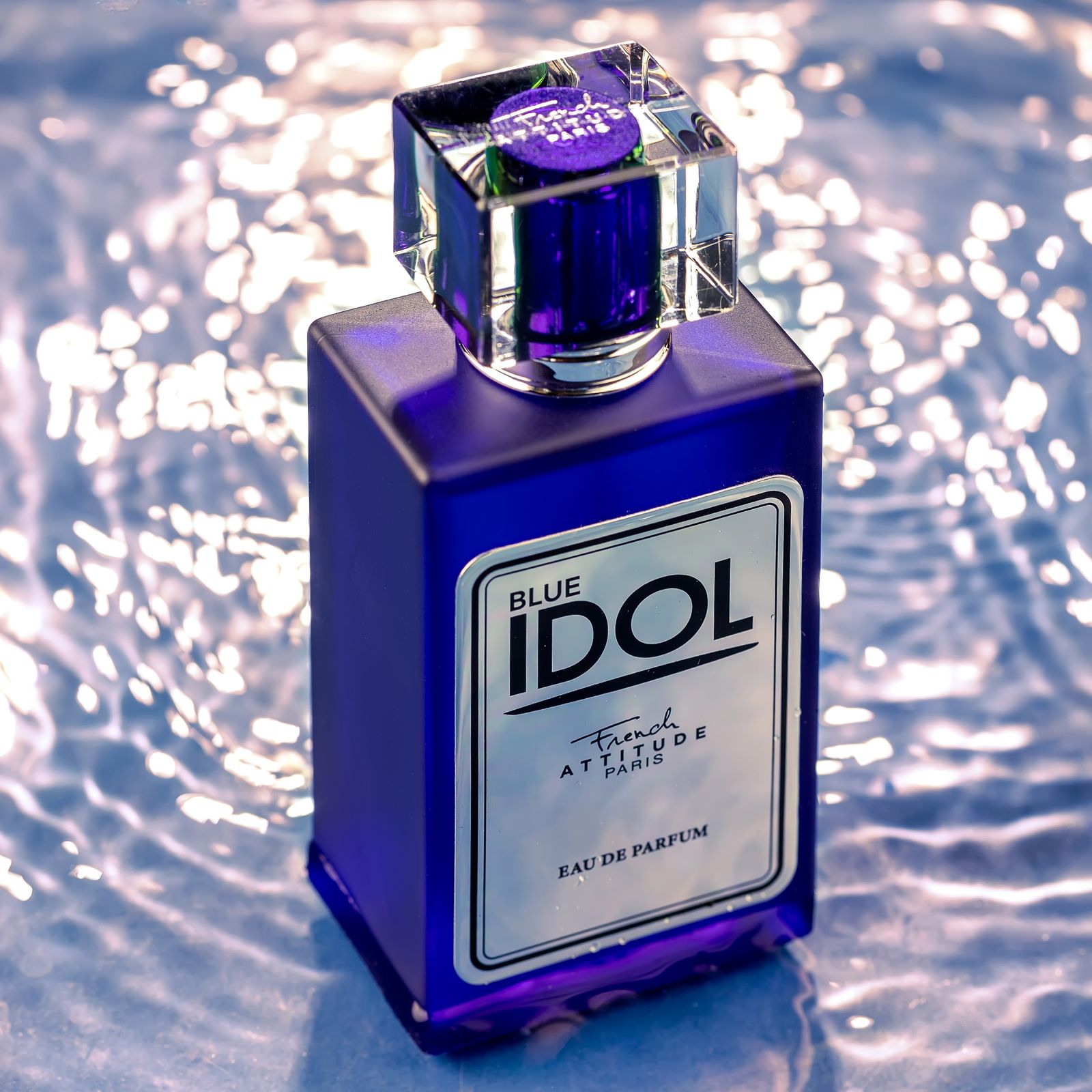 ادو پرفیوم مردانه فرنچ اتیتود پاریس مدل IDOL با رایحه خنک حجم 100 میلی لیتر -  - 4