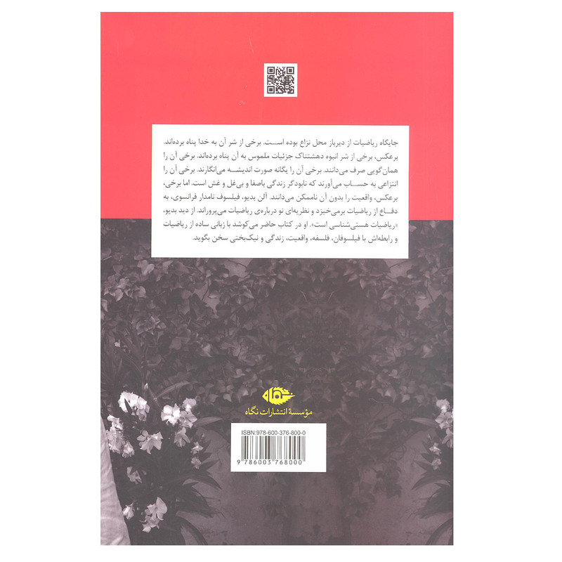 کتاب در ستایش ریاضیات گفتگو با ژیل حائری اثر آلن بدیو نشر نگاه