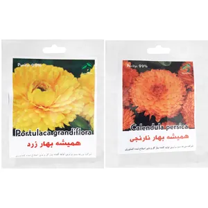 بذر گل های همیشه بهار گرین فارم کد G 22 بسته 2 عددی 