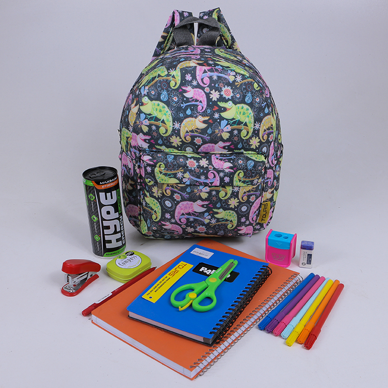 کوله پشتی بچگانه توریث مدل AA-9545