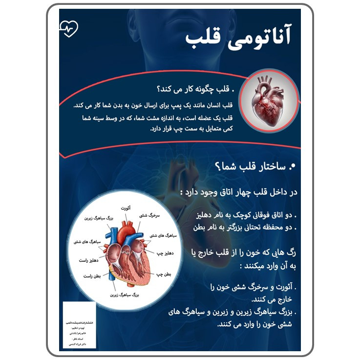 پوستر آموزشی انتشارات اندیشه اتمی مدل آناتومی قلب