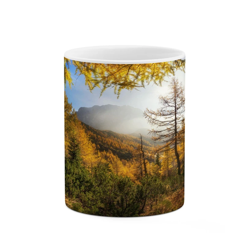 ماگ کاکتی مدل منظره کد mgh17785