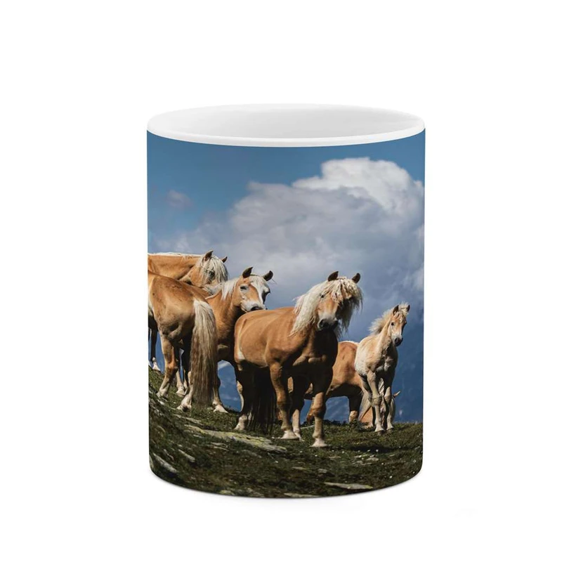 ماگ کاکتی مدل اسب کد mgh24274