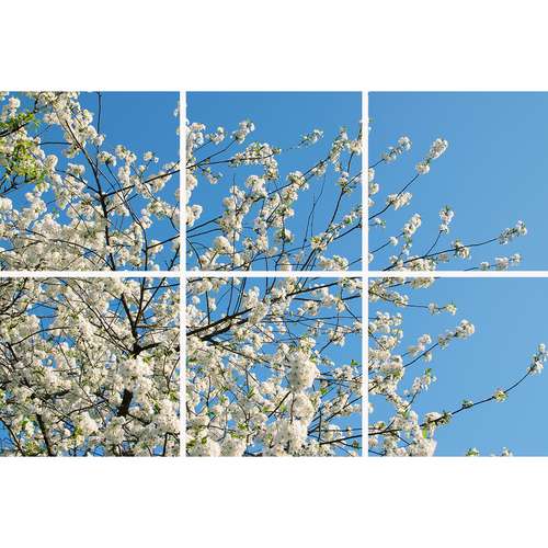 تایل سقفی آسمان مجازی مدل SK-429-2x3 سایز 60x60 مجموعه شش عددی