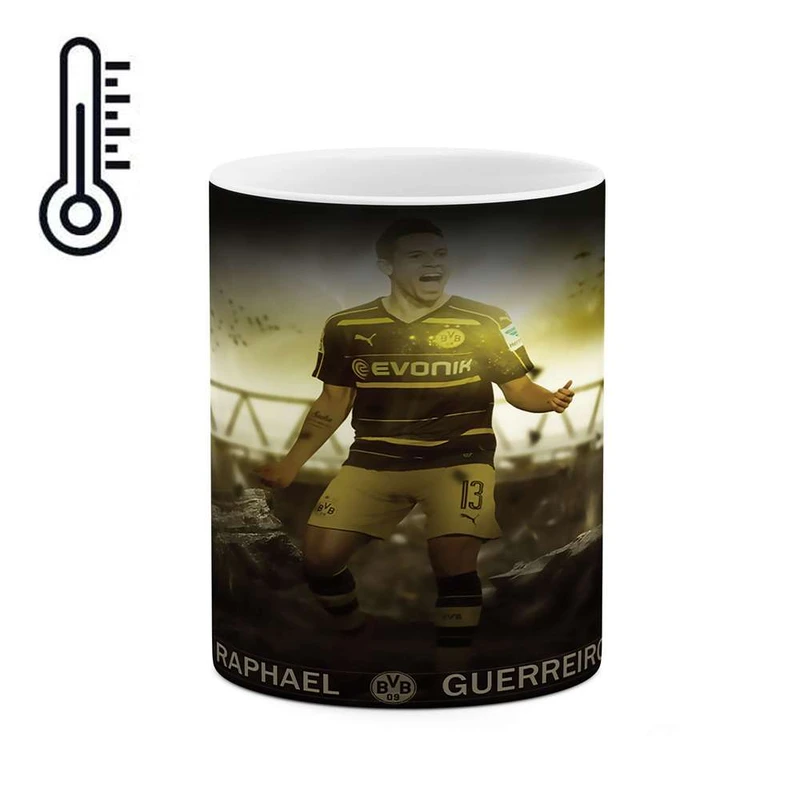 ماگ حرارتی کاکتی مدل رافائل گوررئو کد mgh10313