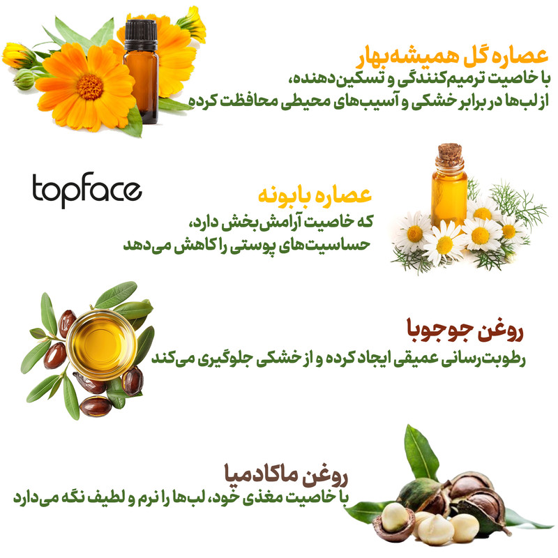 رژ لب مایع تاپ فیس مدل Perfect Gleam سری Focus Point شماره 105