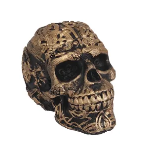 مجسمه مدل جمجمه