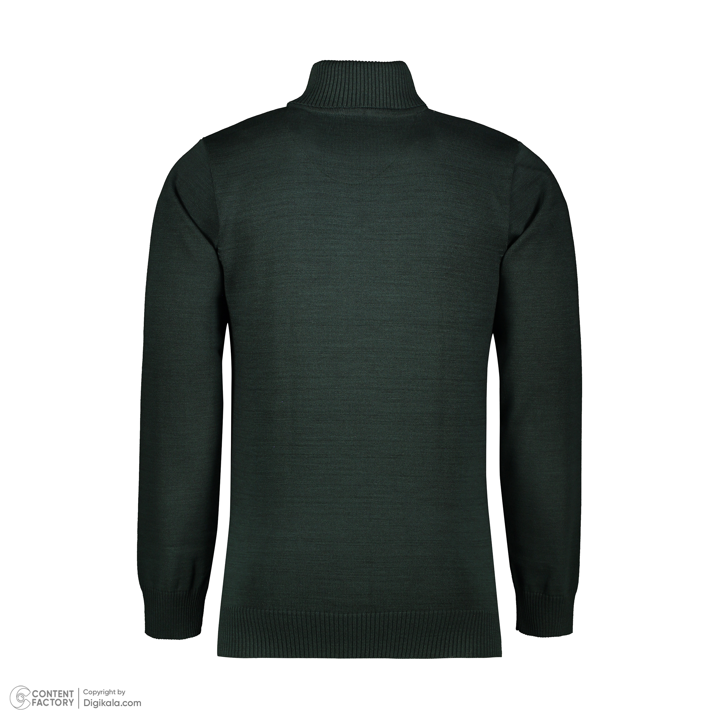پلیور یقه اسکی مردانه پاییزان مدل PE700 رنگ یشمی