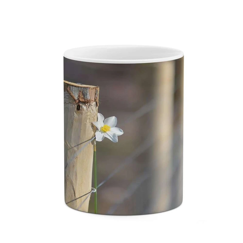 ماگ کاکتی مدل فانتزی کد mgh16648