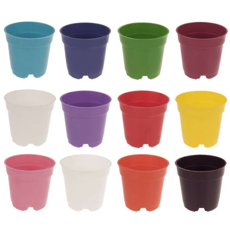 گلدان مدل کاکتوسی 6cm بسته 12 عددی