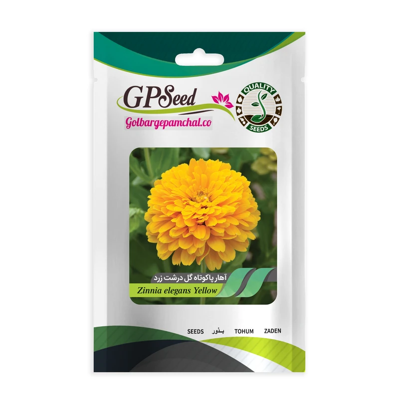 بذر گل آهار گل درشت زرد گلبرگ پامچال کد GPF-233