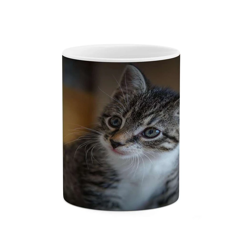 ماگ کاکتی مدل گربه کد mgh16577