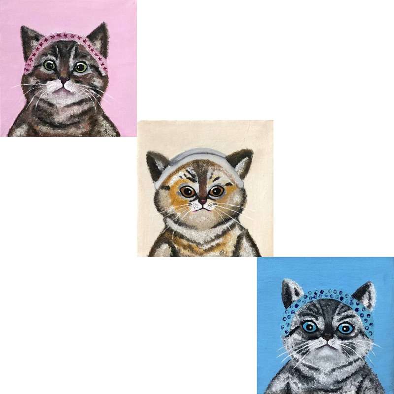 تابلو نقاشی رنگ روغن طرح گربه مجموعه 3 عددی
