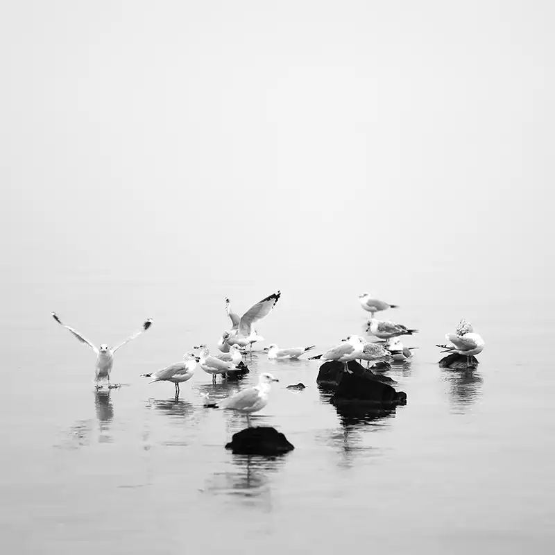 تابلو مدل زمانی برای آسودن