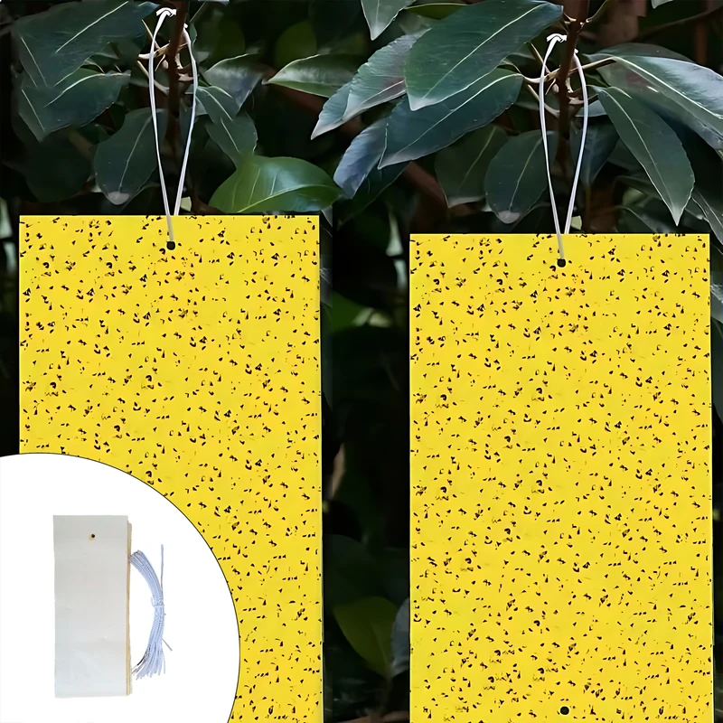 چسب حشره کش مدل کارت زرد کد 50 بسته 50 عددی