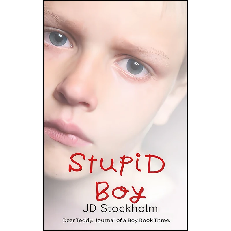 کتاب Stupid Boy اثر JD Stockholm انتشارات تازه ها