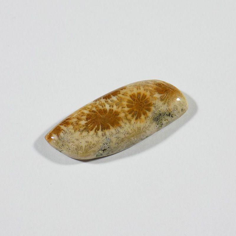 سنگ فسیل مرجان کد TG6552