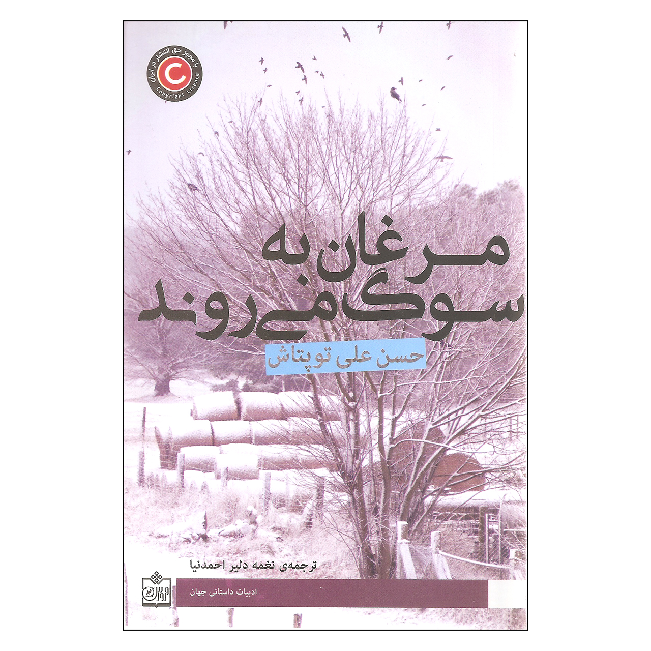 کتاب مرغان به سوگ می روند اثر حسن علی توپتاش انتشارات فروزش